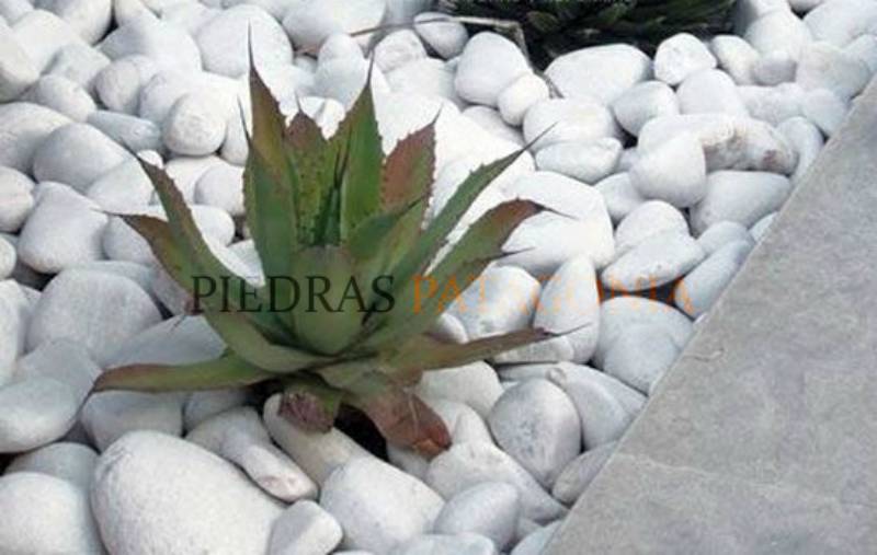 Piedras Blancas
